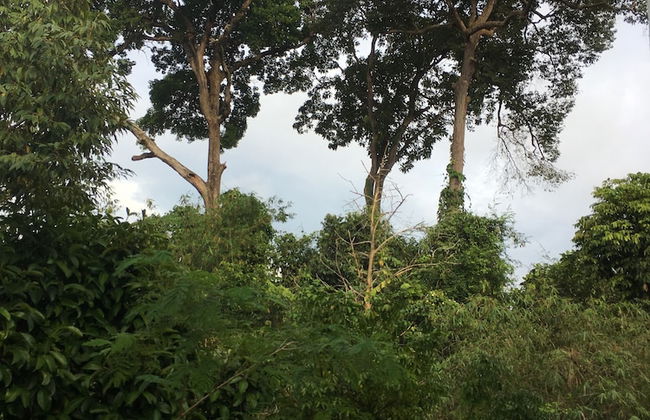 Homely Ground Apartment - Foto 13