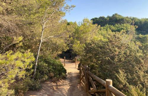 Torre de Cima - Foto 29