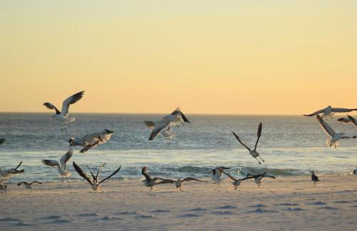 le bon vivant - Foto 38