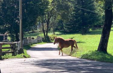 Casa al Sole Apt 1 - Foto 18