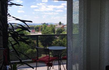 Nova Galerija Studio Ema i Apartman Anita- parking in garage - Foto 29