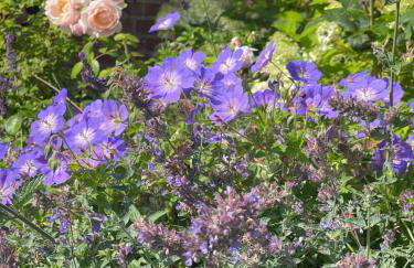 The Coach House - Foto 45