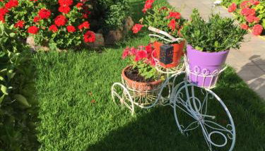 Chaliotis Apartments - Foto 2, Garden