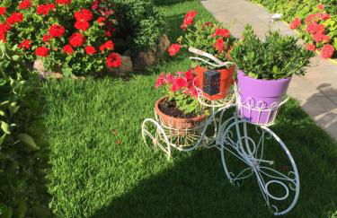 Chaliotis Apartments - Foto 2