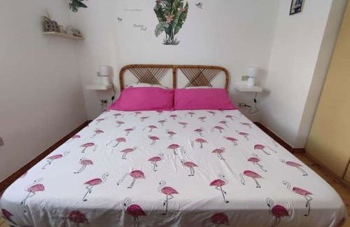 Casa Flamingo House - Photo 32