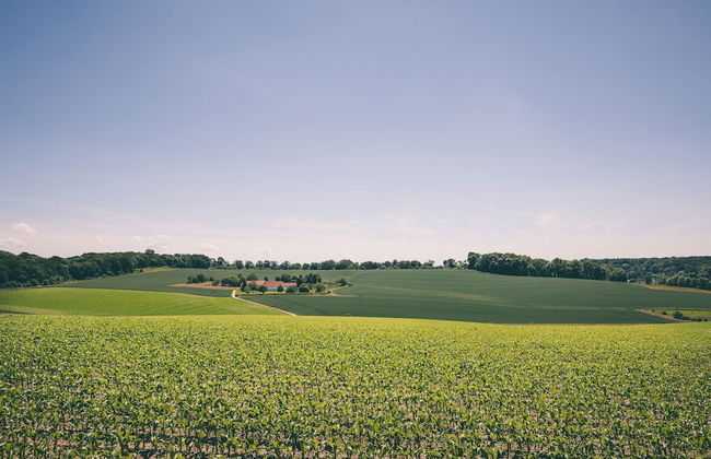 Cozy Bungalow Sauna Valkenburg - Photo 18