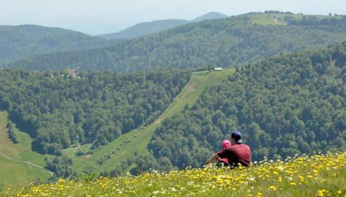 Le Nid-Gare-Centre ville-Parking gratuit-Idéalement situé - Foto 4