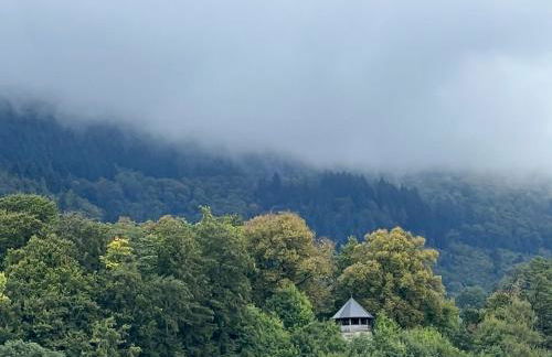 Schlössleblick - Foto 25