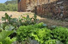 Linhares - Country House Turismo, Natureza e Aventura - Foto 26