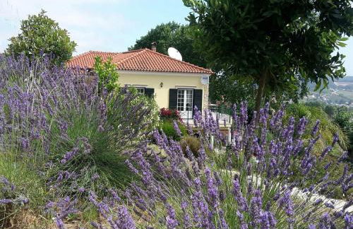 Villa in Casais de Santa Helena - Photo 32