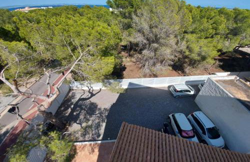 ED REXII ático - Foto 25