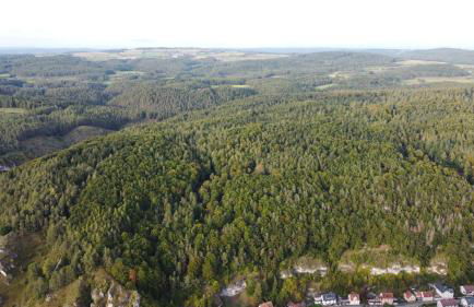 Landliebe Ferienwohnung - Photo 54