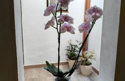 Casa Cecilia - Foto 19