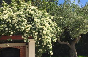 Villa Keti apartments Pool & Wellness - Photo 131