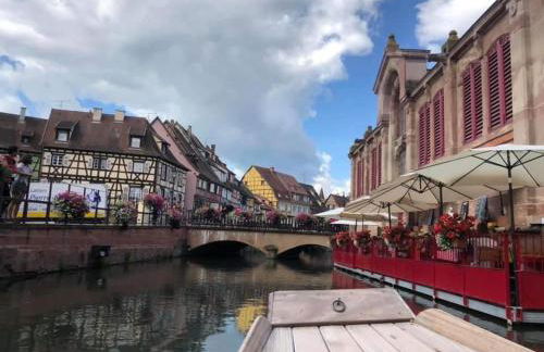 Coeur Alsace - Foto 20