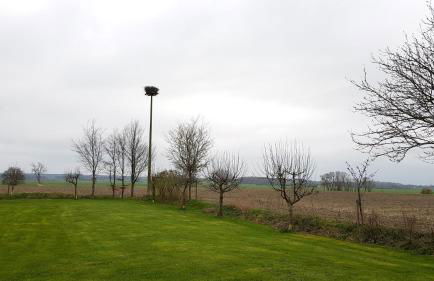 Ferienwohnung am Nord-Ostsee-Kanal - Foto 17