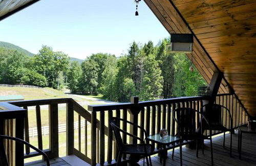 Fantastic Secluded Rental for a Large Group Getaway near East Branch, New York - Photo 27