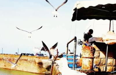 Appartement à Saint Valery en Caux - 150m plage - parking privé - Foto 63