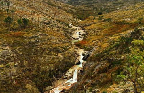 CASA DA ESCOLA - Foto 21