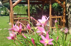 Domek u Gosi - Foto 9