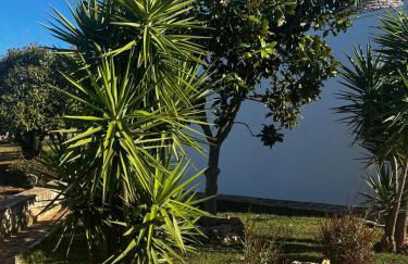 Trullo in vigna - Foto 46