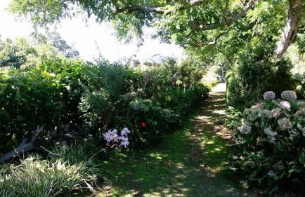 Quinta das Bolas - Photo 72