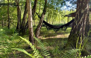 Domek nad Zegrzem z prywatnym jacuzzi - Foto 10