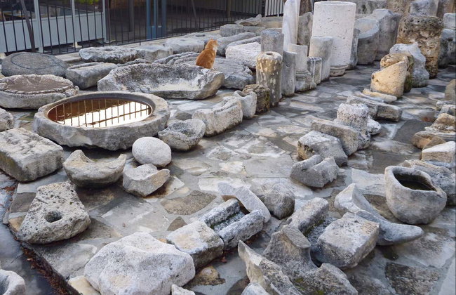 Limassol, Kourion + Kolossi Day Trip - Photo 6