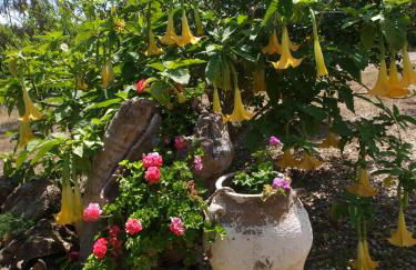 Gerolakos Country Houses - Photo 20