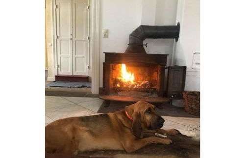 Schöne Wohnung in Hessen mit Ruhebereich - Foto 1