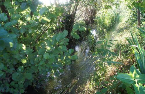 Agriturismo alla Corte - Foto 36