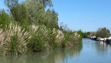 Bateau Péniche à quai 6 couchages - Foto 2
