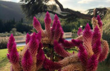 Villa D'Arte Agri Resort - Photo 26