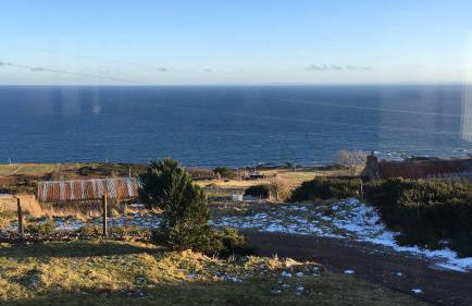 The Stroops - Foto 1