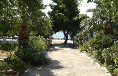 Elea Guesthouse - Photo 56