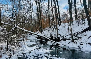 Retreat on Lake Milton - Foto 19