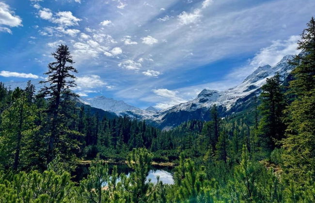 Apartment in Altenmarkt in Pongau Near ski Area - Foto 29