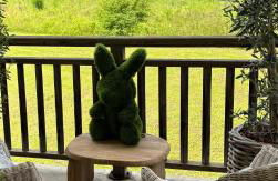 Le terrier du Green appartement - Foto 13