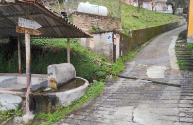 Uscio Natura - Foto 10