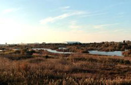 Flamingo Sunset Cruise by ACS HOLIDAYS - Foto 37
