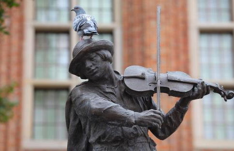 Apartament Torun - Photo 62