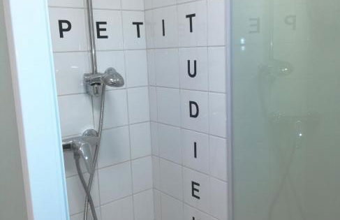 Le petit studieux - Parking - Animaux acceptés - Centre ville accessible à pied - Foto 21