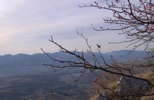 Apartment Ninetta Belluno Dolomiti - Foto 31