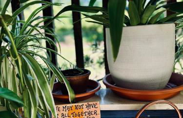 The Chick-Inn - Foto 11