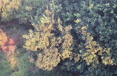 Kalamata Modern Apartment - Foto 20