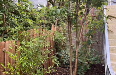 Ferienwohnungen Waldblick - Foto 12