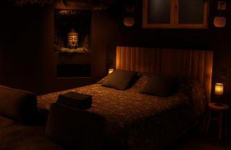 Jungle Room Strasbourg - Évasion Tropicale - Sauna Jacuzzi Balnéo - Foto 10