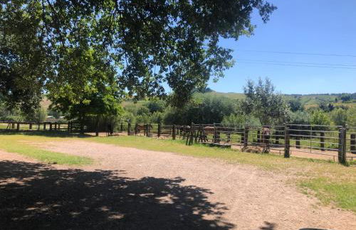 Agriturismo Ca' Belluccio - Foto 43