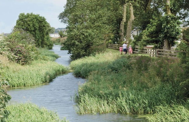 Family Caravan-sleeps 4-2mins to Beach-pets Ok - Foto 17