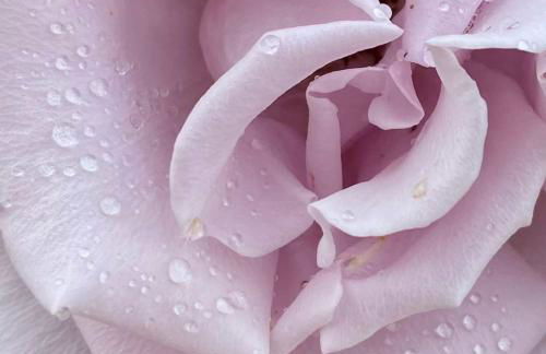 Infinity Wellness Apartment Hotel - Foto 136